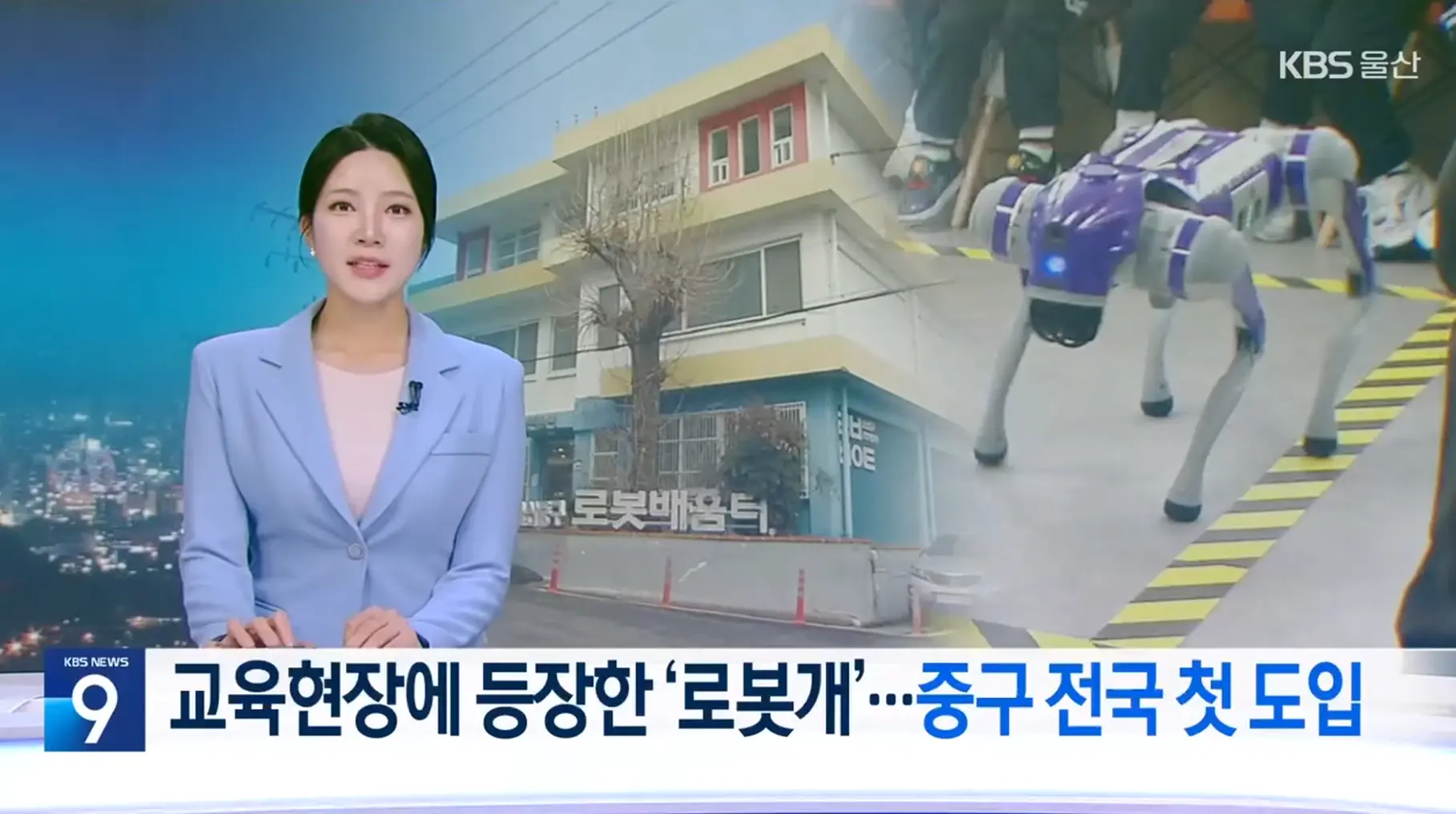 전국 최초 'AI 로봇개' 교육 프로그램 도입 및 KBS 방송 보도 2 kbs 썸네일